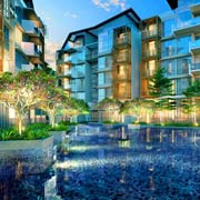 Project Info